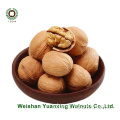 Zoete en knapperige Chinese Walnut Kernels Light Pieces (LP)